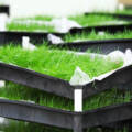 What is Hydroponic Feed?